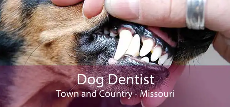 Dog Dentist Town and Country - Missouri