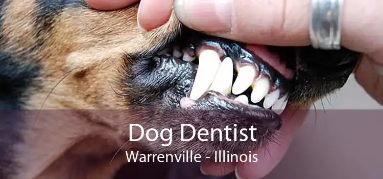 Dog Dentist Warrenville - Illinois