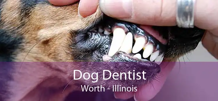 Dog Dentist Worth - Illinois