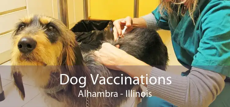 Dog Vaccinations Alhambra - Illinois