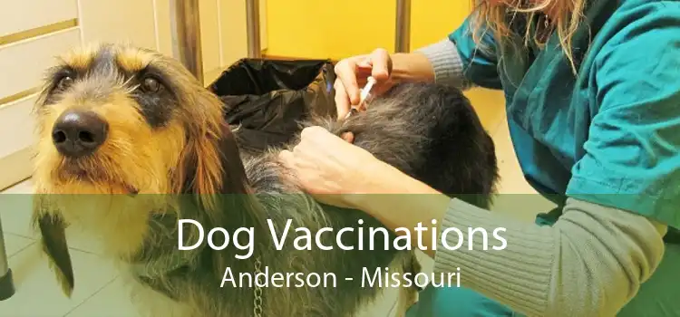 Dog Vaccinations Anderson - Missouri