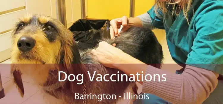 Dog Vaccinations Barrington - Illinois