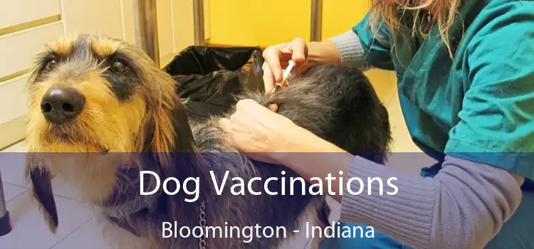 Dog Vaccinations Bloomington - Indiana