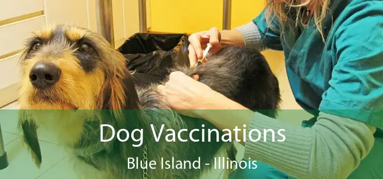 Dog Vaccinations Blue Island - Illinois