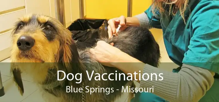 Dog Vaccinations Blue Springs - Missouri