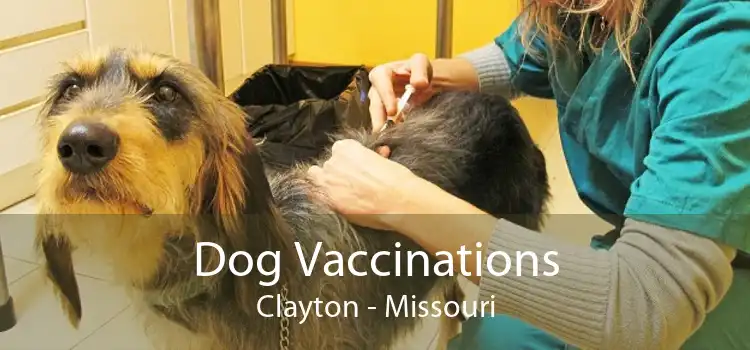 Dog Vaccinations Clayton - Missouri