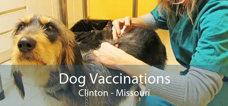 Dog Vaccinations Clinton - Missouri