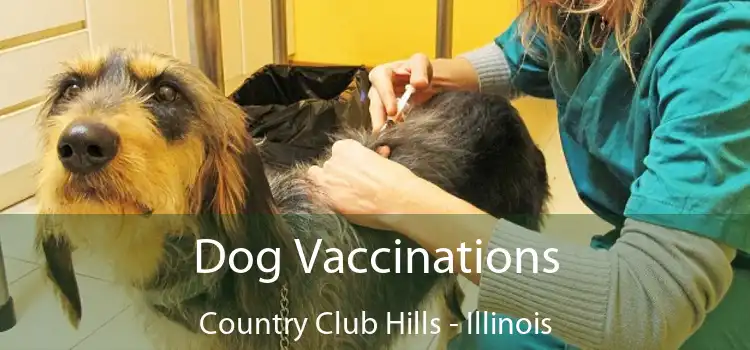 Dog Vaccinations Country Club Hills - Illinois