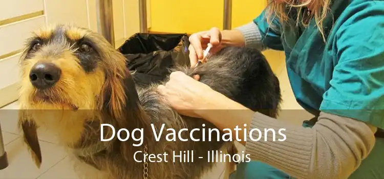 Dog Vaccinations Crest Hill - Illinois