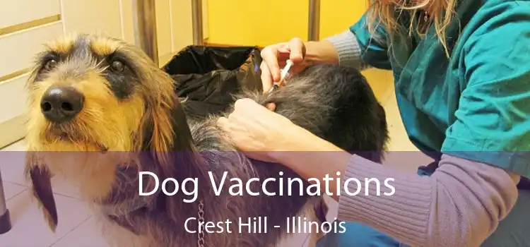 Dog Vaccinations Crest Hill - Illinois