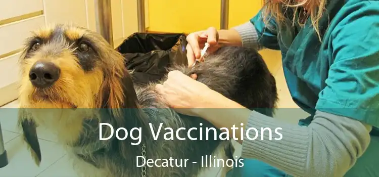 Dog Vaccinations Decatur - Illinois