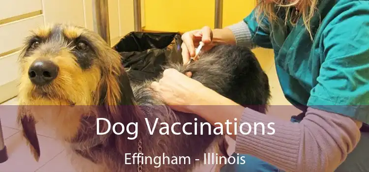 Dog Vaccinations Effingham - Illinois