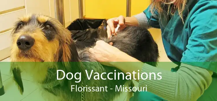 Dog Vaccinations Florissant - Missouri