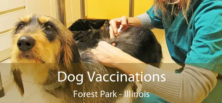 Dog Vaccinations Forest Park - Illinois