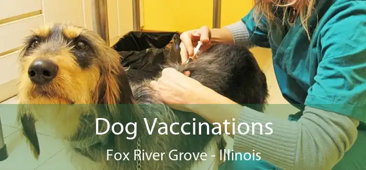 Dog Vaccinations Fox River Grove - Illinois