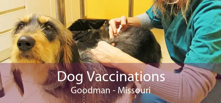 Dog Vaccinations Goodman - Missouri