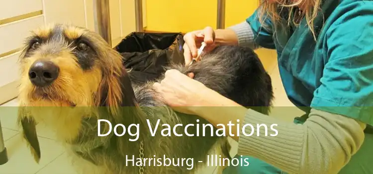 Dog Vaccinations Harrisburg - Illinois