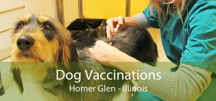 Dog Vaccinations Homer Glen - Illinois