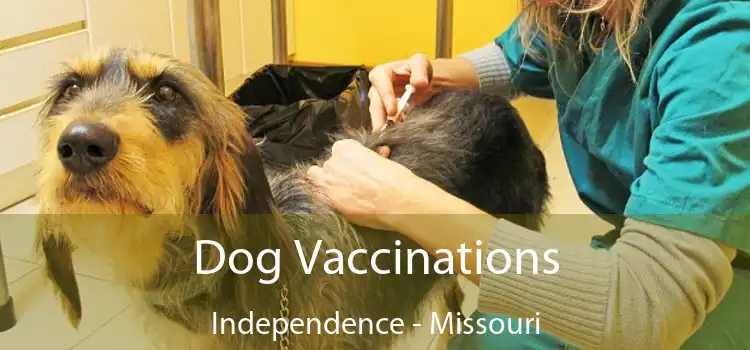 Dog Vaccinations Independence - Missouri