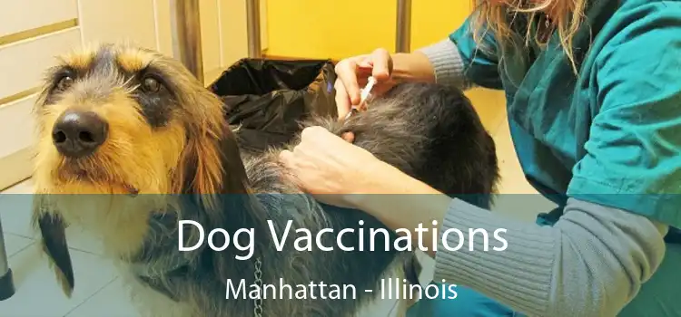 Dog Vaccinations Manhattan - Illinois