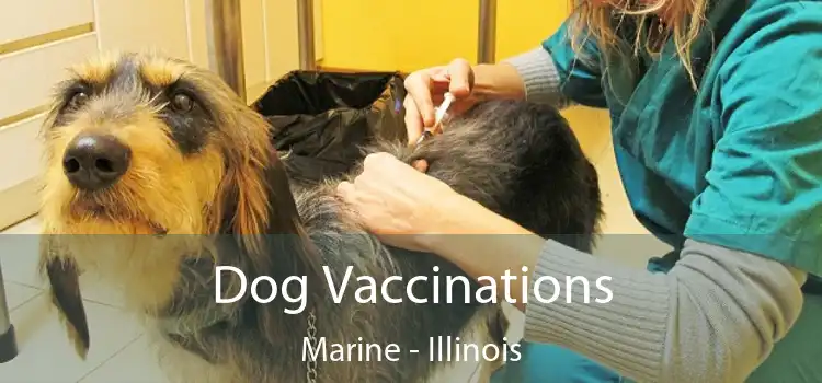 Dog Vaccinations Marine - Illinois