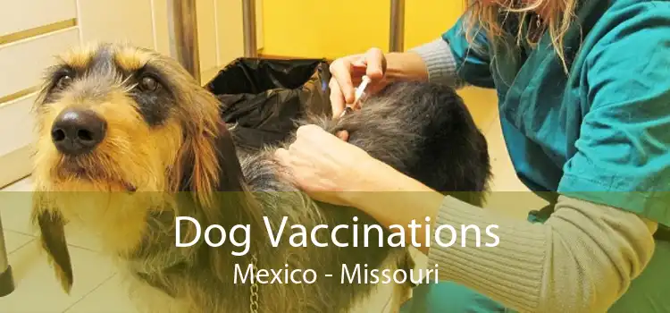 Dog Vaccinations Mexico - Missouri