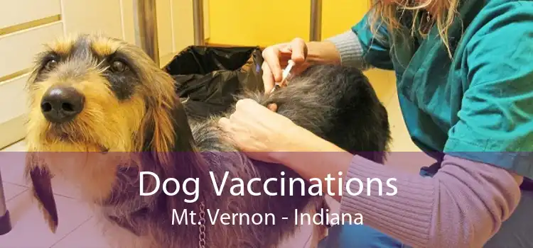 Dog Vaccinations Mt. Vernon - Indiana
