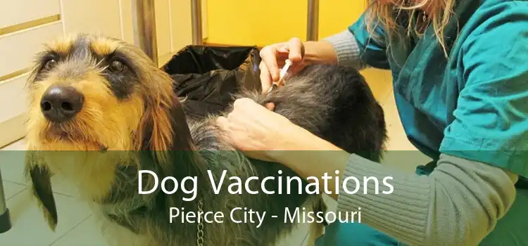 Dog Vaccinations Pierce City - Missouri