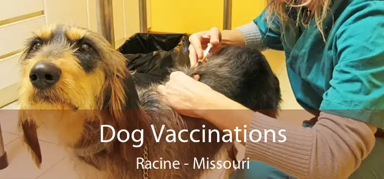 Dog Vaccinations Racine - Missouri