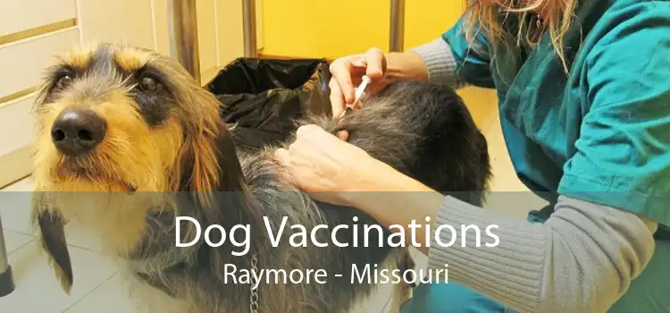 Dog Vaccinations Raymore - Missouri