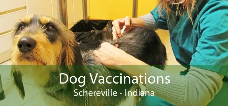 Dog Vaccinations Schereville - Indiana