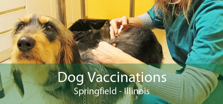 Dog Vaccinations Springfield - Illinois