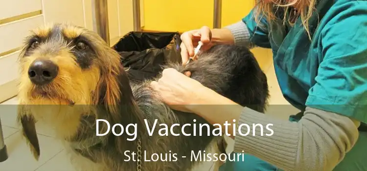 Dog Vaccinations St. Louis - Missouri