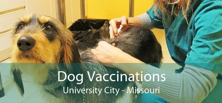 Dog Vaccinations University City - Missouri