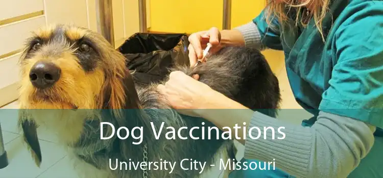 Dog Vaccinations University City - Missouri