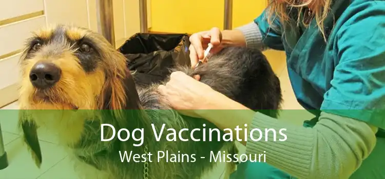Dog Vaccinations West Plains - Missouri