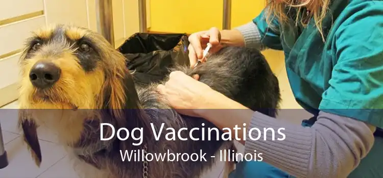 Dog Vaccinations Willowbrook - Illinois