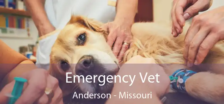 Emergency Vet Anderson - Missouri