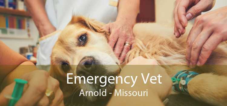Emergency Vet Arnold - Missouri