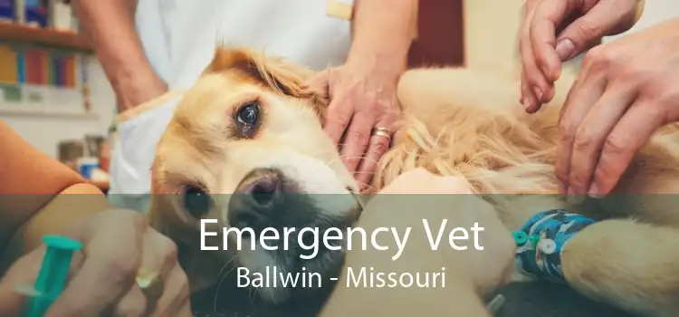 Emergency Vet Ballwin - Missouri