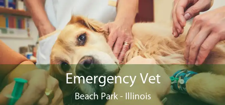 Emergency Vet Beach Park - Illinois