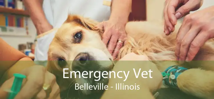 Emergency Vet Belleville - Illinois