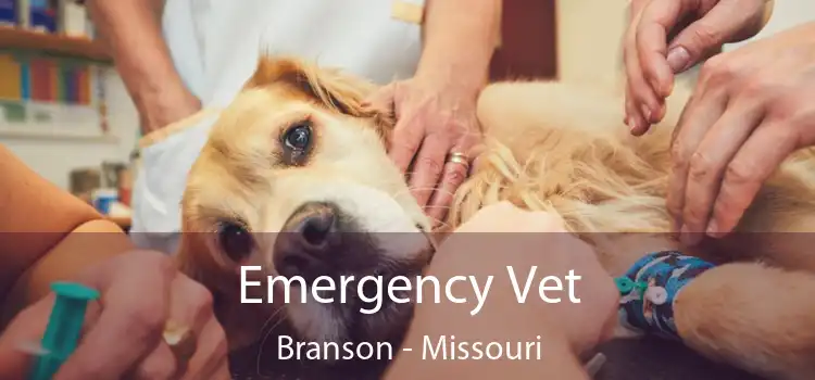 Emergency Vet Branson - Missouri