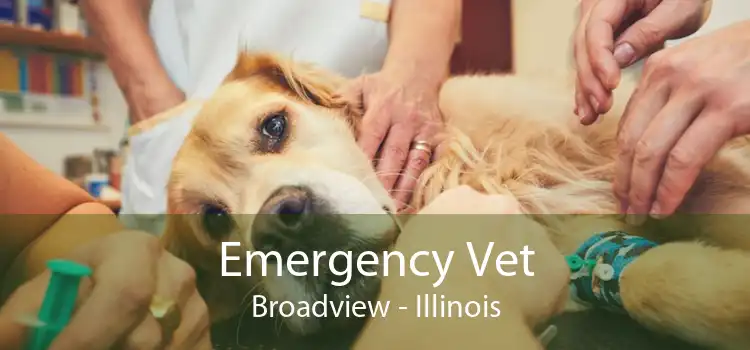 Emergency Vet Broadview - Illinois