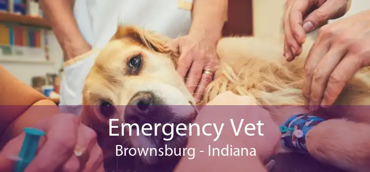 Emergency Vet Brownsburg - Indiana