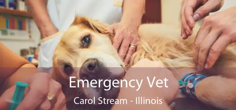 Emergency Vet Carol Stream - Illinois