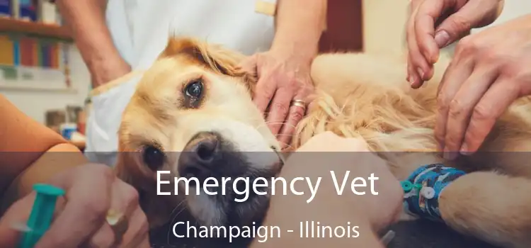 Emergency Vet Champaign - Illinois