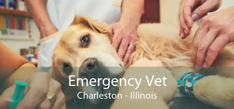 Emergency Vet Charleston - Illinois