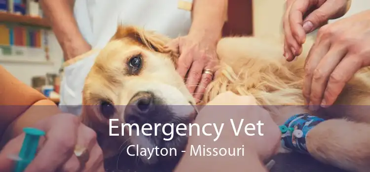 Emergency Vet Clayton - Missouri