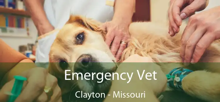 Emergency Vet Clayton - Missouri